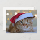 CHRISTMAS NIEDLICH GINGER CAT POSTCARDS POSTKARTE (Vorne/Hinten)