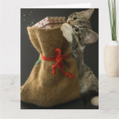 CHRISTMAS NIEDLICHE CAT-ÜBERRASCHUNGEN Grußkarte Karte (Vorderseite)