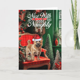 Christmas Norwich Terrier Dog Naughty oder Nice Feiertagskarte