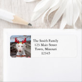 Christmas Ollie (Insitu)