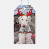 Christmas Ollie Geschenkanhänger (Vorderseite)