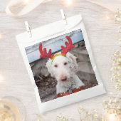 Christmas Ollie Geschenktütchen (Ausgeschnitten)