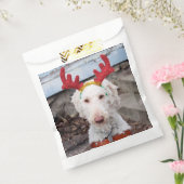 Christmas Ollie Geschenktütchen (Versiegelt)