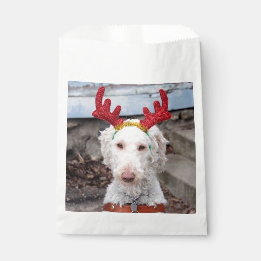 Christmas Ollie Geschenktütchen (Vorderseite)