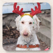 Christmas Ollie Getränkeuntersetzer (Vorderseite)