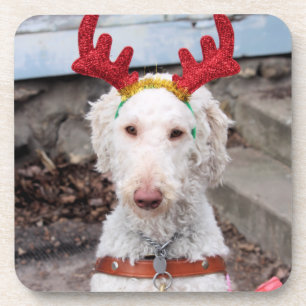 Christmas Ollie Getränkeuntersetzer