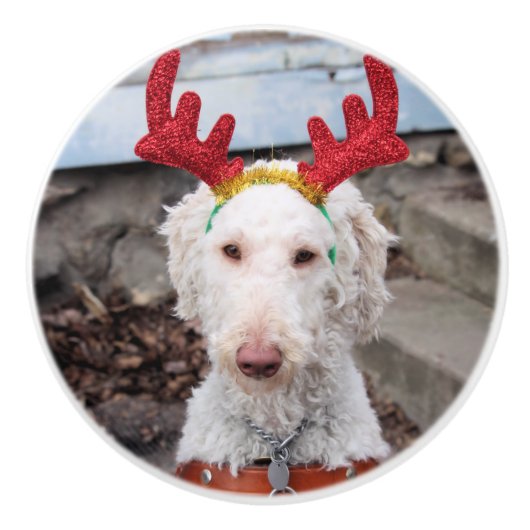 Christmas Ollie Keramikknauf (Vorderseite)