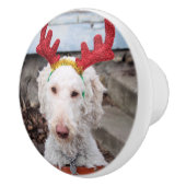 Christmas Ollie Keramikknauf (Rechts)