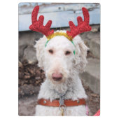 Christmas Ollie Klemmbrett (Rückseite)