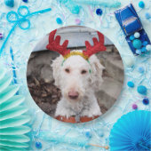 Christmas Ollie Pappteller (Party)