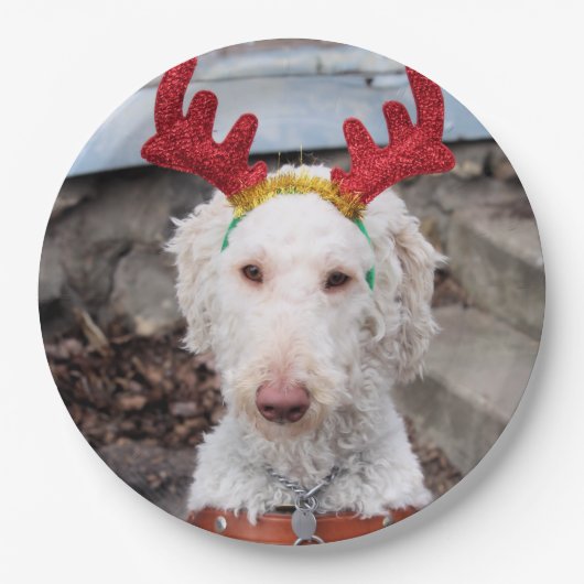 Christmas Ollie Pappteller (Vorderseite)