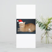 Christmas Orange Tabby Cat (Stehend Vorderseite)