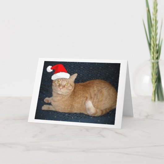 Christmas Orange Tabby Cat Feiertagskarte (Vorderseite)