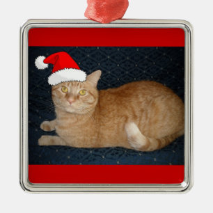 Christmas Orange Tabby Cat Silbernes Ornament