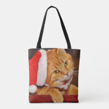 Christmas Orange Tabby Cat