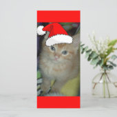 Christmas Orange Tabby Kitten (Stehend Vorderseite)