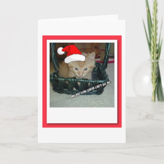 Christmas Orange Tabby Kitten Feiertagskarte (Vorderseite)