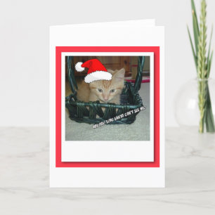 Christmas Orange Tabby Kitten Feiertagskarte