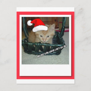 Christmas Orange Tabby Kitten Feiertagspostkarte