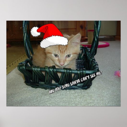Christmas Orange Tabby Kitten Poster (Vorne)