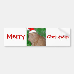 Christmas Orange Tabby Kitty Cat Autoaufkleber