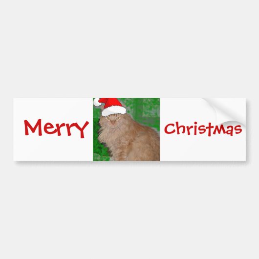 Christmas Orange Tabby Kitty Cat Autoaufkleber (Vorne)