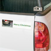 Christmas Orange Tabby Kitty Cat Autoaufkleber (Auf Lkw)