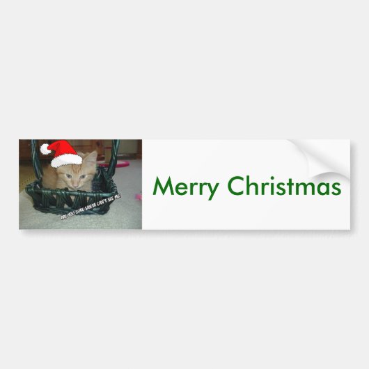 Christmas Orange Tabby Kitty Cat Autoaufkleber (Vorne)