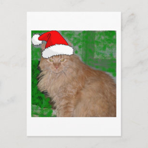 Christmas Orange Tabby Kitty Cat Feiertagspostkarte