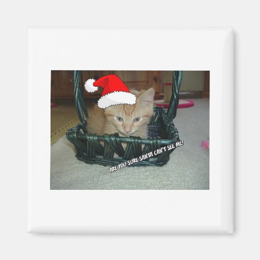 Christmas Orange Tabby Kitty Cat Magnet (Vorne)