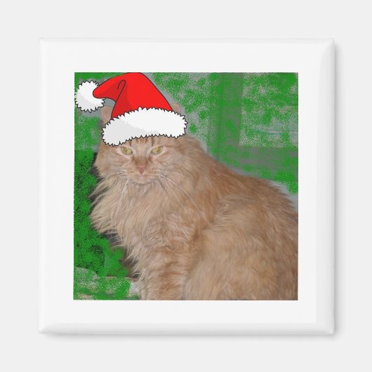 Christmas Orange Tabby Kitty Cat Magnet (Vorne)