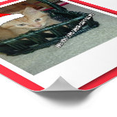 Christmas Orange Tabby Kitty Cat Poster (Ecke)