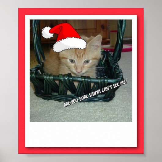 Christmas Orange Tabby Kitty Cat Poster (Vorne)