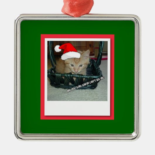 Christmas Orange Tabby Kitty Cat Silbernes Ornament (Vorne)