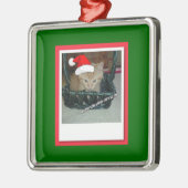 Christmas Orange Tabby Kitty Cat Silbernes Ornament (Links)