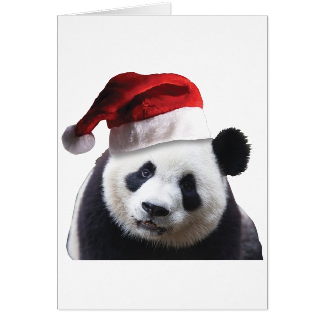Christmas Panda Bear (Vorne)