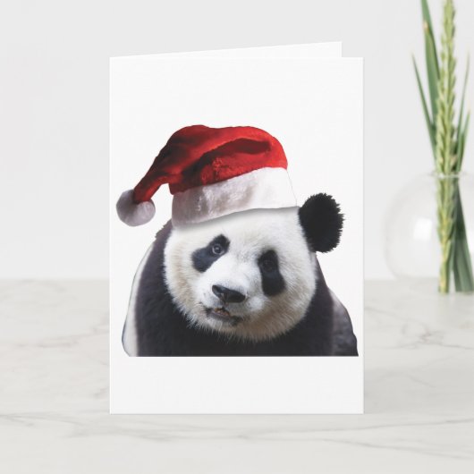 Christmas Panda Bear Feiertagskarte (Vorderseite)