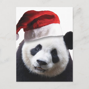 Christmas Panda Bear Feiertagspostkarte