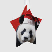 Christmas Panda Bear Ornament (Vorderseite)