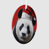 Christmas Panda Bear Ornament (Vorderseite)
