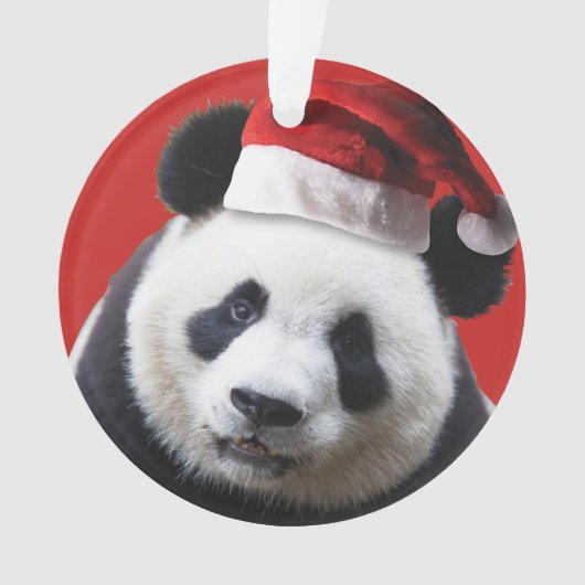 Christmas Panda Bear Ornament (Vorderseite)