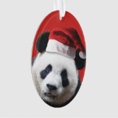 Christmas Panda Bear Ornament (Vorderseite)