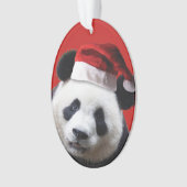 Christmas Panda Bear Ornament (Vorderseite)