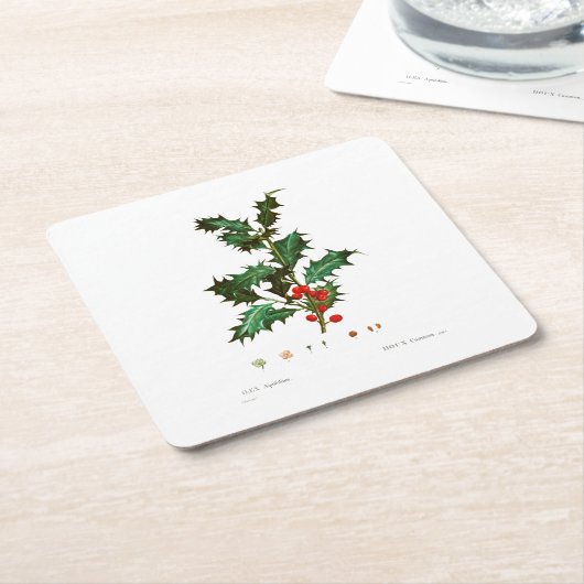 CHRISTMAS PAPIER UNTERSETZER: HOLLY: REDOUTÉ RECHTECKIGER PAPPUNTERSETZER (angewinkelt)