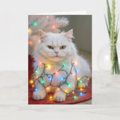Christmas Persian Cat Tangled in Holiday Lights Karte (Vorderseite)