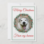 Christmas Pet Photo Wreath Feiertagskarte (Vorderseite)