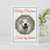 Christmas Pet Photo Wreath Feiertagskarte (Stehend Vorderseite)