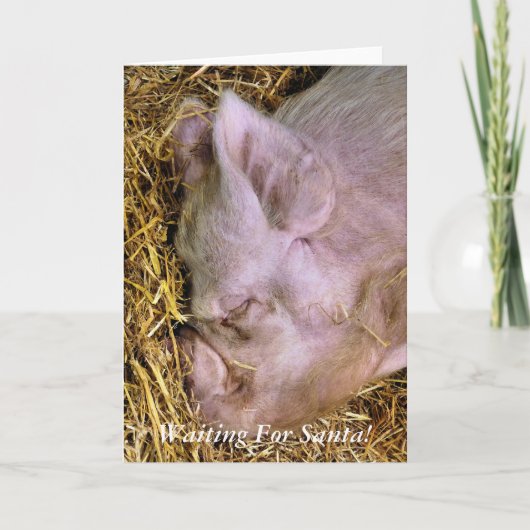 CHRISTMAS PIGS FEIERTAGSKARTE (Vorderseite)