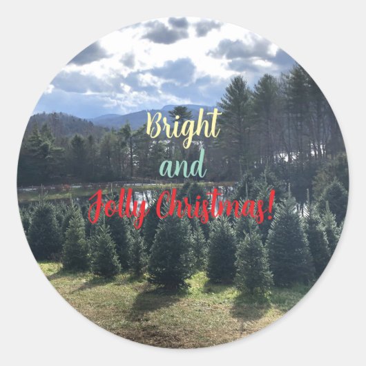 Christmas Pine Trees Stickers (Vorderseite)