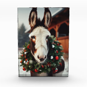 Christmas Pinto Donkey Fotoblock